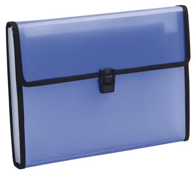 Produktbild von Exacompta 55989E Premium Fächermappe Chromaline für DIN A4 13 Fächer und dehnbar
