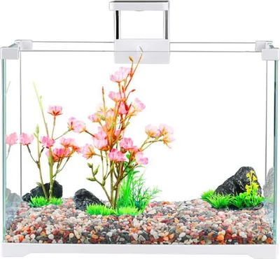 Immagine prodotto di SunSun O!-LED Aqua - set acquario 25l SunSun