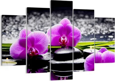 Produktbild von Bild auf Leinwand - Leinwandbild - Orchidee Natur Wasser Blume - 150x100cm - Wand Bild - Wanddeko - Leinwanddruck - Bilder - Kunstdruck - Wanddekoration - Leinwand bilder - Wandkunst - EA150x100-2658