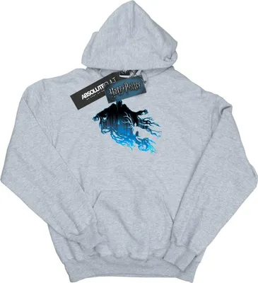 Zdjęcie produktu dla Harry Potter – bluza z kapturem dla mężczyzn BI11845 (L) (szara)