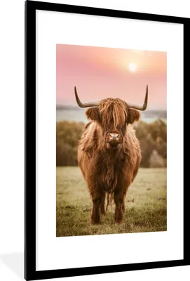 Produktbild von MuchoWow® MuchoWow® Gerahmtes Poster Sonnenuntergang - Tier - Schottisches Hochlandrind 60x90 cm - Poster mit zchwarzem Bilderrahmen - Dekoration - Wandposter Wohnzimmer - Hochwertig