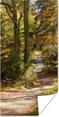 Produktbild von MuchoWow® Poster Waldlehrpfad im Nationalpark Bayerischer Wald 40x80 cm - Dekoration