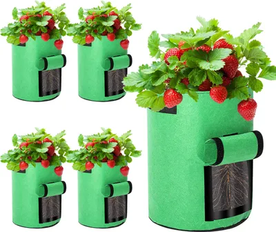Image de Izrielar Lot de 5 sacs de plantation 38 L en tissu non tissé – Sacs de plantation pour pommes de terre, tomates, légumes et fleurs