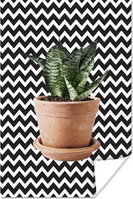 Produktbild von MuchoWow® Poster Pflanzen - Blumentopf - Schwarz - Weiß 80x120 cm - Papierdruck