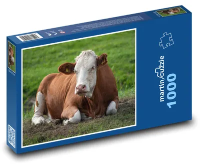 Obrázek produktu pro Puzzle 1000 Kráva na zelené louce - martinpuzzle