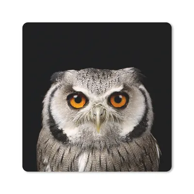 Produktbild von MuchoWow® Mauspad Mousepad Porträt Eule 20x20 cm - Mousepads - Maus Mat - Pad - Mausunterlage - Desk Mat - Bureauartikeln