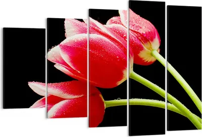 Produktbild von Bild auf Leinwand - Leinwandbild - Tulpe garten blume blumenstrauß - 150x100cm - Wand Bild - Wanddeko - Leinwanddruck - Bilder - Kunstdruck - Leinwand bilder - Wandkunst - EG150x100-1494