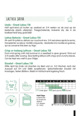 Produktbild von Kopfsalat Great Lakes 118 | Kopfsalatsamen von Hortitops