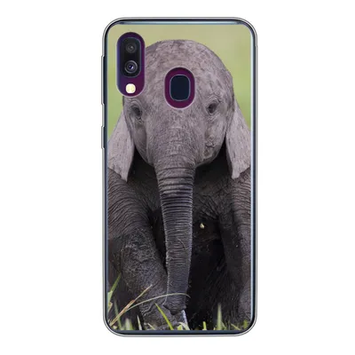 Produktbild von MuchoWow® Handyhülle Schutzhülle Hülle für Samsung Galaxy A40 Elefant - Baby - Tiere - Gras - Natur Silikon Softcase Handy Hülle - Handy-Tasche
