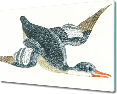 Produktbild von Coloray Küchenbrett Kochplattenabdeckung Hackbrett Schneidebrett Herdabdeckplatte 80x52 cm - Tier Vogel Ente