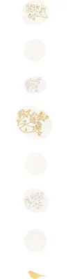 Produktbild von Räder PG Goldvogel Kette L.90cm