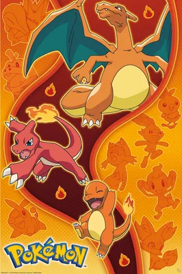 Produktbild von Pokemon - Fire Type - Anime Spiel Poster - Größe 61x91,5 cm ohne Zusatzartikel