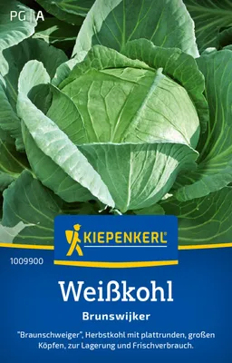 Produktbild von Kiepenkerl Weißkohlsamen Brunswijker Brassica oleracea capitata alba 50 Pflanzen