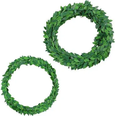 Produktbild von Grüner Efeu Sling mit Rattan Blättern