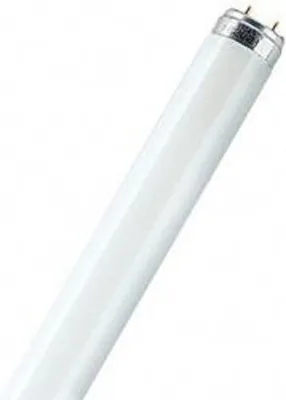 Produktbild von Philips TL-D 36W-1/840 G13 kaltweiss