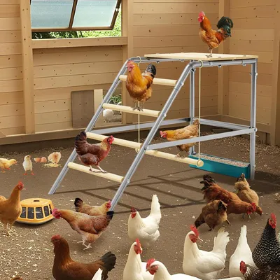 Produktbild von Schlafbalken mit Sitzstange für Hühner, Hühnerböcke mit Schaukel für den Stall, Schlafaccessoires für den Stall, einfache Installation und Reinigung