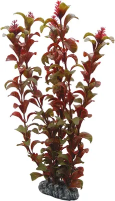 Produktbild von Hobby Rotala, 30 cm - Kunststoffpflanze für Aquarien