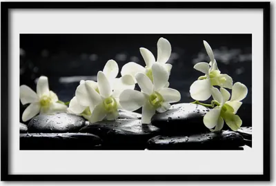Produktbild von Bild 60x40 MDF-Rahmen Wandkunst Stein Blume Pflanze