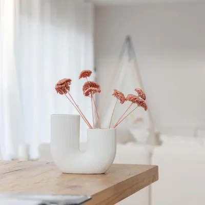 Produktbild von Schafgarbe getrocknet Achillea 1 Bund (. 45 55cm) Getrocknete Trockenblumen