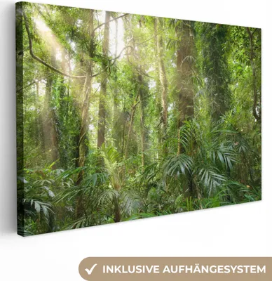 Produktbild von OneMillionCanvasses® - Leinwandbilder - 150x100 cm, Licht im Wald, Wandbilder Kunstdruck Wanddekoration