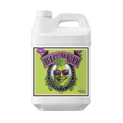Produktbild von Advanced Nutrients Big Bud, 250ml