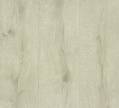 Produktbild von Rasch Tapete Black Forest Vliestapete 514407 Holzoptik grauweiß