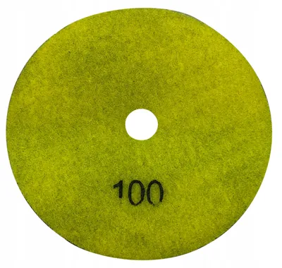 Produktbild von Diames Diamant-Polierscheibe 125mm #100 Trocken