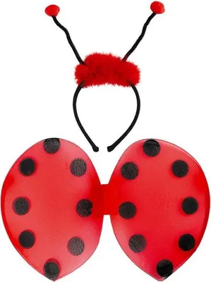 Immagine prodotto di Set Di Coccinelle Ali Cerchietto Tastatori Primavera