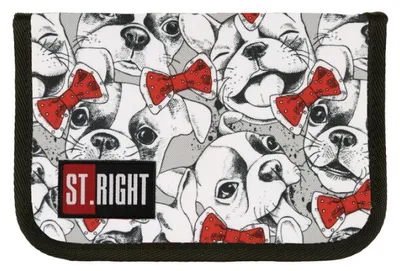 Obrázok produktu pre St.RIGHT Jednopodlažný penál Puppies