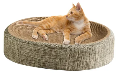 Image de Planche à gratter ovale 2 en 1 pour chats, avec espace de détente