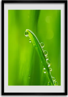 Produktbild von Bild - Bilderrahmen - 50 cm x 70 cm - MDF - Rahmen - Wandkunst Grashalme