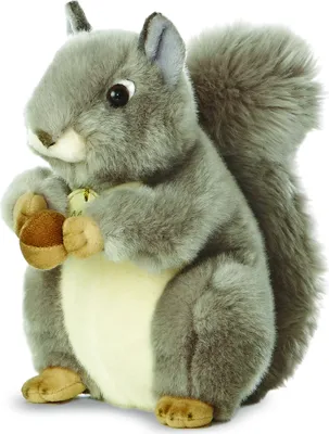 Produktbild von Aurora MiYoni Graues Eichhörnchen Grau 26cm