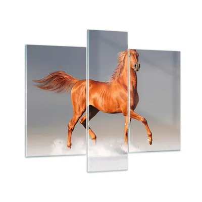 Produktbild von Bilder auf glas - Tiere Pferd Galopp Geschwindigkeit - 95x80cm - Glasbilder - Wandbilder - Kunstdruck - zum Aufhängen bereit - Wanddekoration aus Glas - Glas Bilder - Wandbild auf Glas - GCB95x80-2590