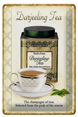 Produktbild von Blechschild Tee 20x30cm Darjeeling Tea champagne of teas