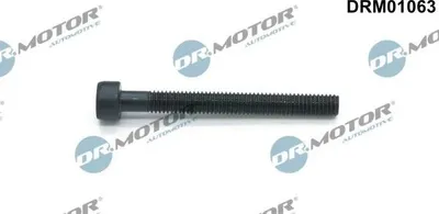 Zdjęcie produktu dla Śruba Wtryskiwacza Vw Phaeton, Transporter, Touareg 2,5/5,0 Tdi