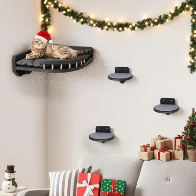 Produktbild von Kletterwand Katzen mit Katzenbett und 3X Katzentreppe Wand [Birkenholz] I Kratzbaum Wand I Hängematte Katze I Katzenwand I Wandkratzbaum