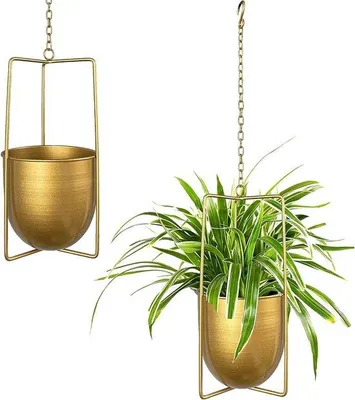 Produktbild von Hängende Blumenhänge für Fettblumen (Gold)