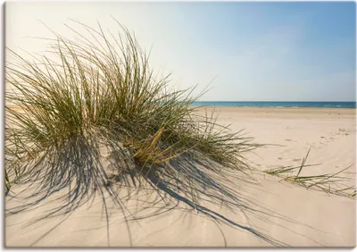 Produktbild von ARTland Leinwandbild Strandgras Größe: 100x70 cm