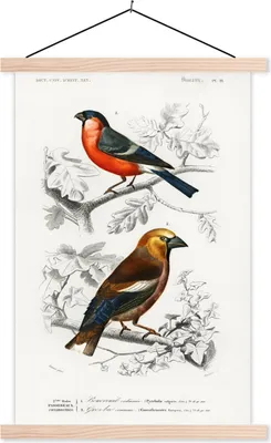 Produktbild von MuchoWow® Textilposter Vogel - Vintage - Zweig 60x90 cm mit holzfarbenen Rahmen - Textil