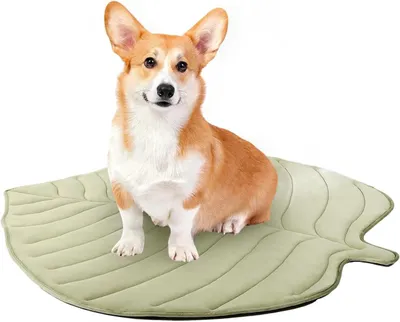 Produktbild von Kühlmatte Hund 130x150cm, selbstkühlend, wasserdicht, rutschfest, waschbar, blattförmig, grün – für Katze & Auto