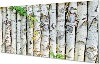 Produktbild von Glasbilder 120x60 Wandkunst Birkenblätter