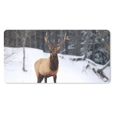 Produktbild von MuchoWow® Mauspad Mousepad Rotwild - Schnee - Winter 60x30 cm - Mousepads - Maus Mat - Pad - Mausunterlage - Nachhaltig