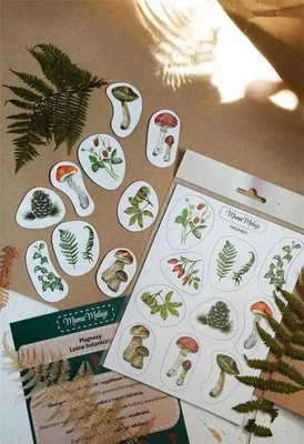 Obrázek produktu pro Magnesy Leśne botaniczne do nauki i zabawy
