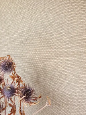 Produktbild von NEWROOM Tapete Licona Uni 3 Beige Vliestapete - Glänzend Einfarbig Germany