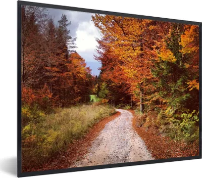 Produktbild von MuchoWow® Gerahmtes Poster Herbst - Herbstblätter - Weg - Wald 80x60 cm - Poster mit Schwarzem Bilderrahmen Wandposter Rahmen Foto Bilder - Schwarzem - Mit Gestell