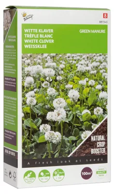 Produktbild von Gründünger Weißklee (100 g) | Gründünger von Buzzy Seeds