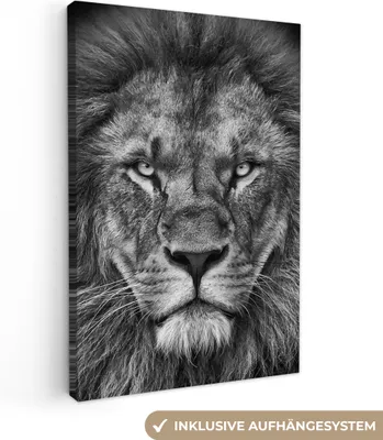 Produktbild von MuchoWow® - Leinwandbilder - Tiere - Löwe - Schwarz - Weiß - Porträt, Wandbild, Wanddeko Bilder Wohnzimmer, 40x60 cm