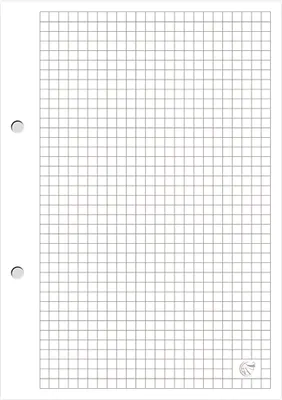 Image de Interdruk bloc-notes à anneaux A4 quadrillé 100 feuilles