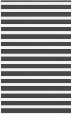 Obrázek produktu pro Maison Exclusive – dvojitá roletka, černá, 150 × 230 cm, šířka látky 145,9 cm, polyester