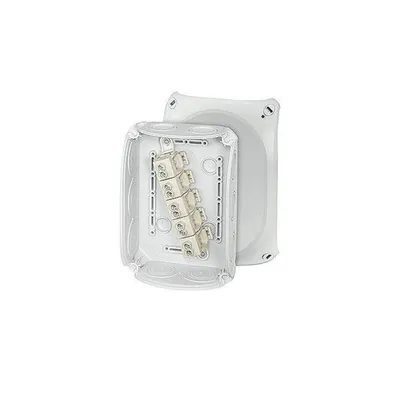 Immagine prodotto di HENSEL morsettiera 10qmm 5f Kst 180x130x77mm AP